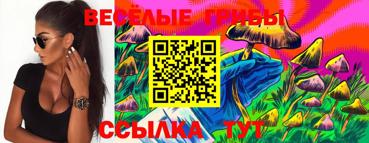 Галлюциногенные грибы MAGIC MUSHROOMS  Вход с VPN  Рузаевка 